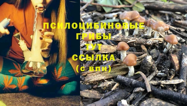дмт Армянск