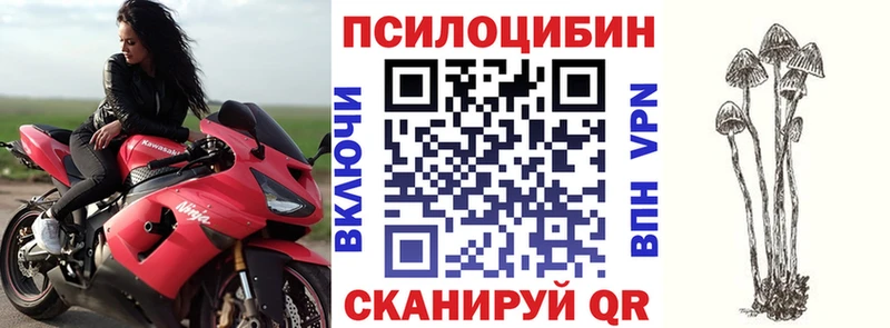 Псилоцибиновые грибы мухоморы  что такое   Обоянь 